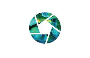 Habitus Insight