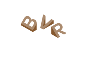 Bespoke VR