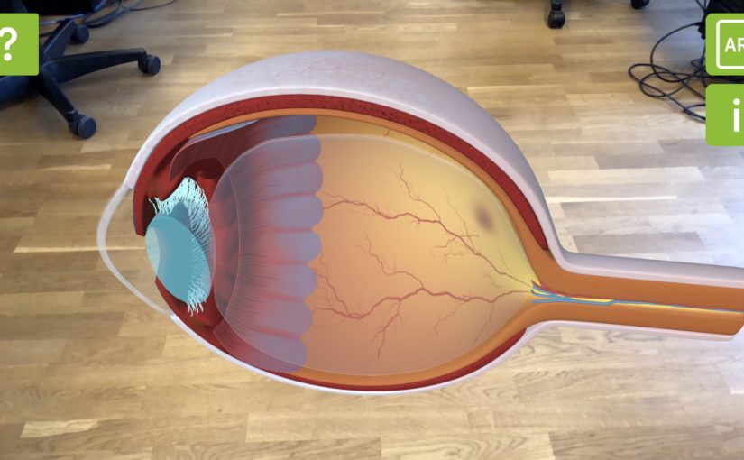 Memira AR Anatomy