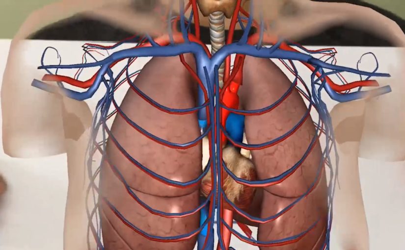 National Health Service AR Medical Diagnostics