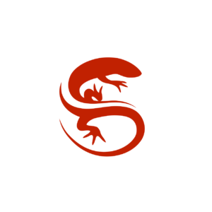 Newt Studios
