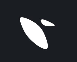 Orka Informatics