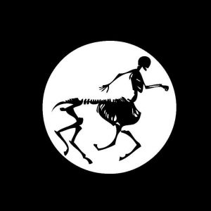 Solidanim