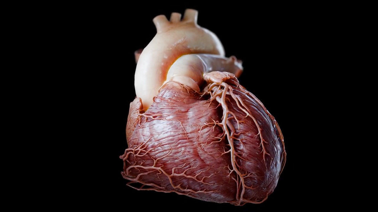 Insight Heart