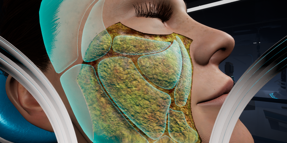 Galderma Anatomy VR