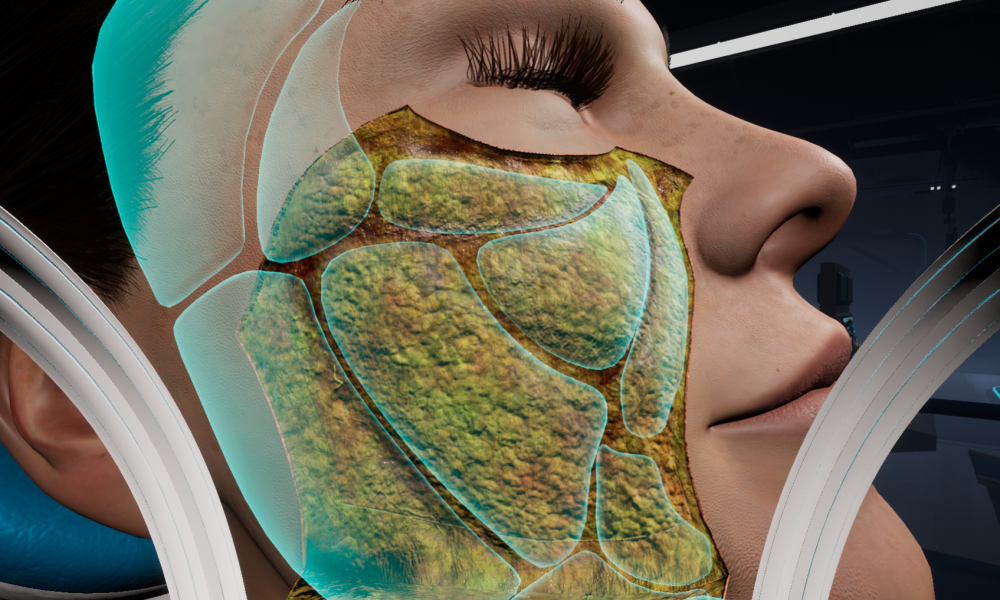 Galderma Anatomy VR
