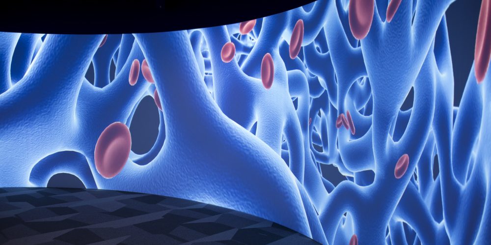 Digital Scholarship Lab