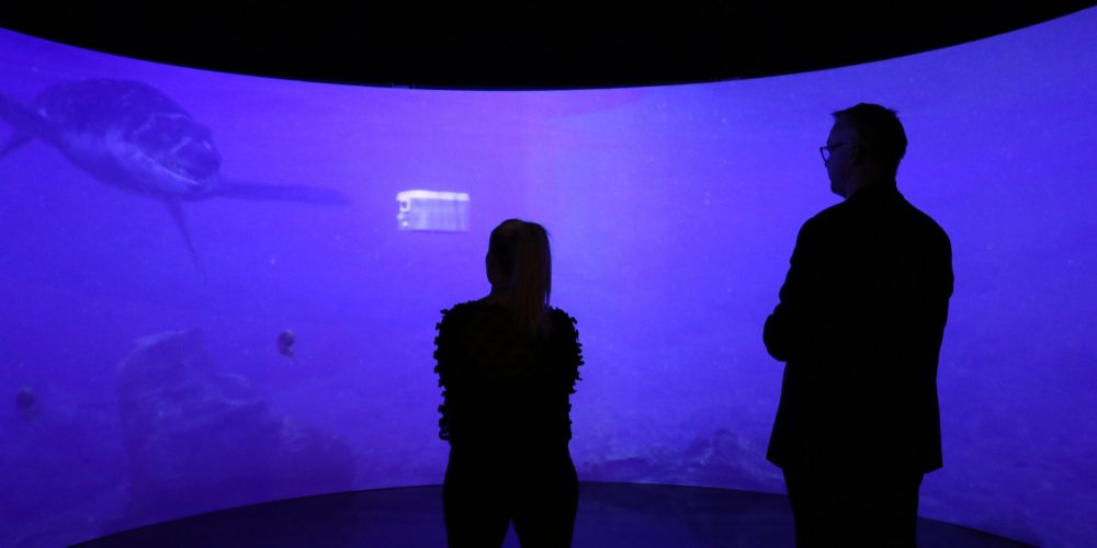 Sea Monsters Exhibition