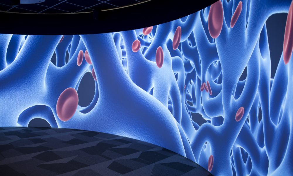 Digital Scholarship Lab