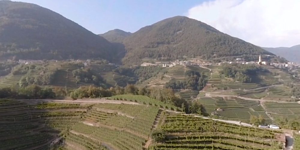 Cavit Wines – 360 Video Experience