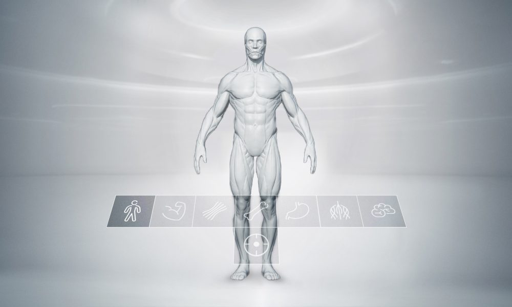 VR Anatomical Learning