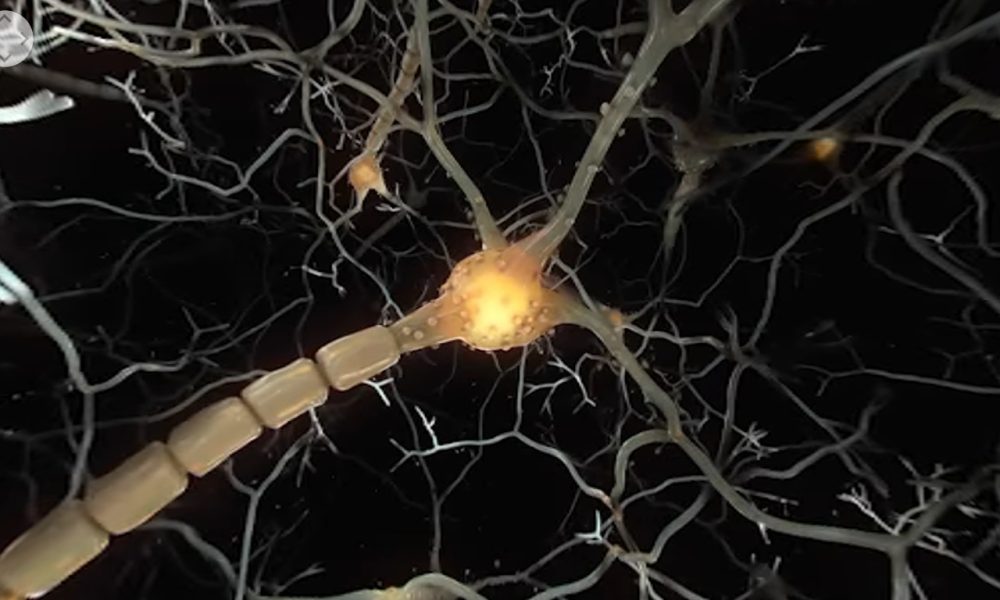 Intercellular – An Interbody VR Experience