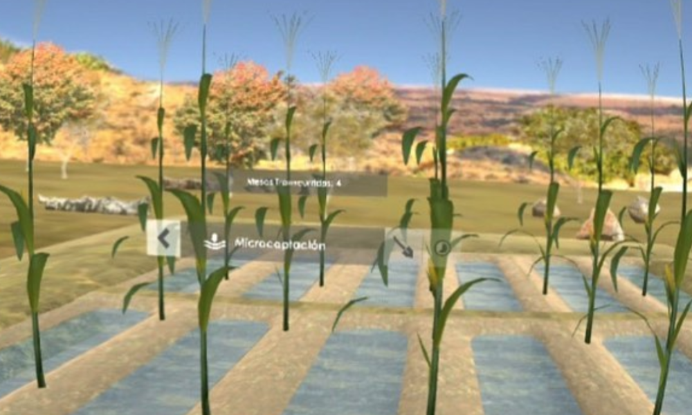 The Nature Conservancy VR Platform