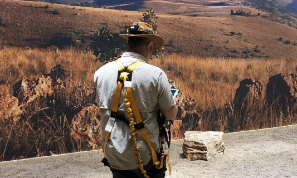 Fossils from the Cradle of Humankind – AR Experience